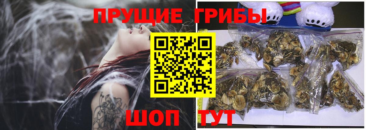 Псилоцибиновые грибы GOLDEN TEACHER  Галлюциногенные грибы Psilocybine cubensis  как найти наркотики  Шатура  Вход с VPN 